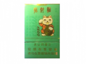广西宁明县烟草：台风“摩羯”过境中的坚守与担当
